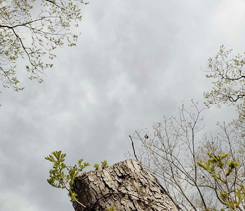 �S(ch��ng)�^(q��)�h(hu��n)��