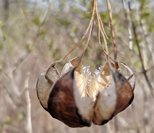 �S(ch��ng)�^(q��)�h(hu��n)��