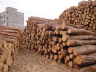 ����ľ�ĵ��W(xu��)����