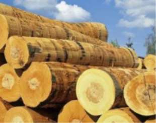 ��(ji��n)Ҫ����ľ�ĵ�ˮ������