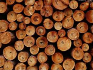 �P(gu��n)��ľ��ȱ����ͼ�ԭ��Ľ�B