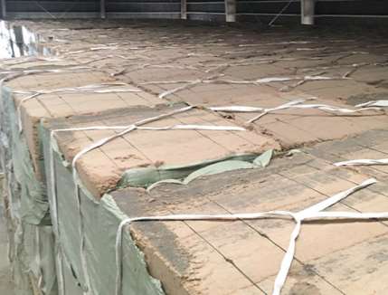 �P(gu��n)��ľ�w�S�۵��xָُ��