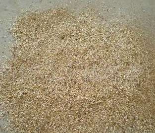 ��ľ�۵��|(zh��)���Q����ʹ����r