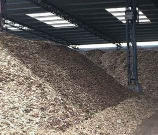 ���{ԭ���ϳ��m(x��)�ϝq����ʲôӰ�