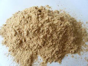 ��ľ�ۏS(ch��ng)��