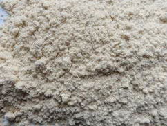 ľ�w�S�ۏS(ch��ng)��